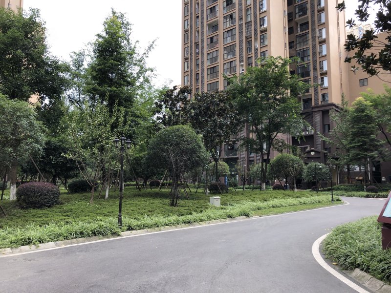 圣采泊尚,敬成路501号-成都圣采泊尚二手房,租房,房价-成都安居客