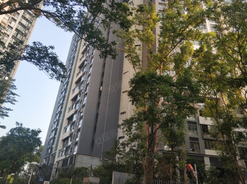 岸芷汀兰,高新南环路2号-深圳岸芷汀兰二手房,租房,房价-深圳安居客