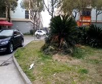 张江东区人才公寓