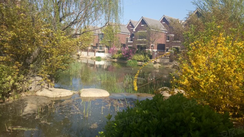 丽山国际(别墅)