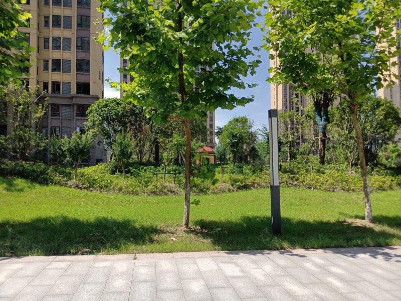 博森翰林城,监利大道