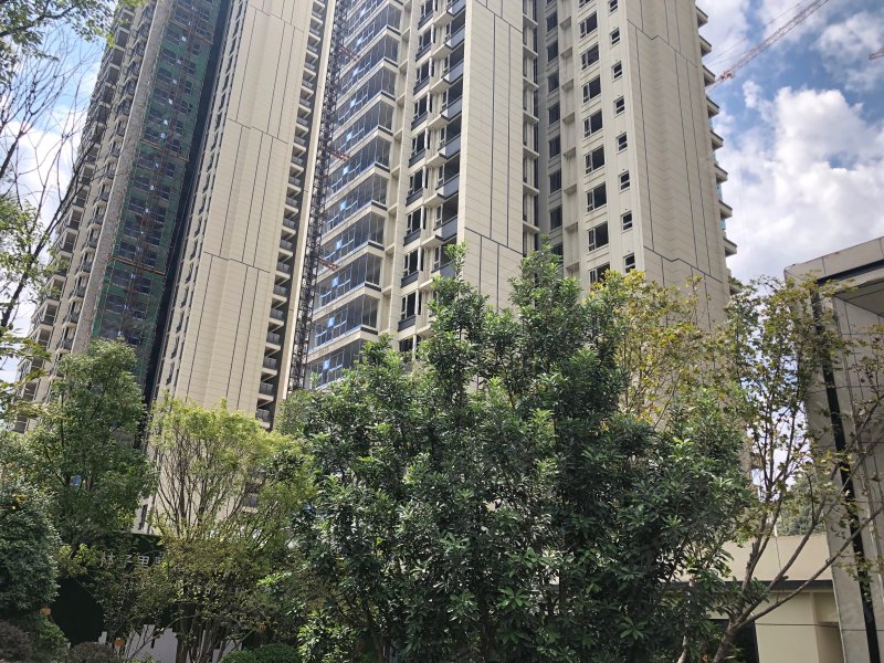 青秀2046(商住楼)