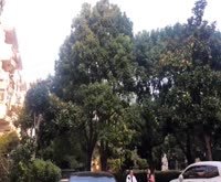 华高新苑(北区) 