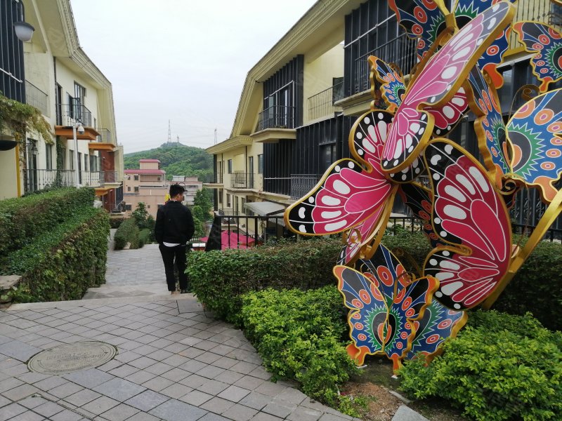 阳光100阿尔勒