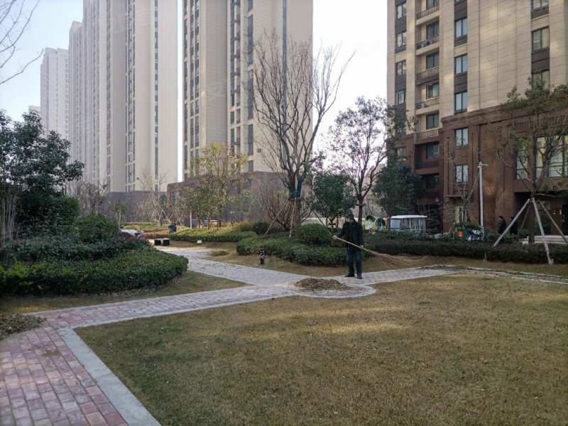 森林半岛(南区),一大街-开封森林半岛(南区)二手房,租房,房价-开封