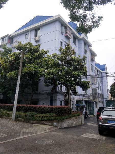 新德路379弄,381-385号小区