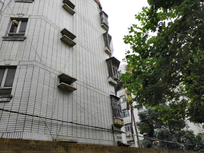 新城花园(龙岗),锦琼路82号-深圳新城花园(龙岗)二手房,租房,房价