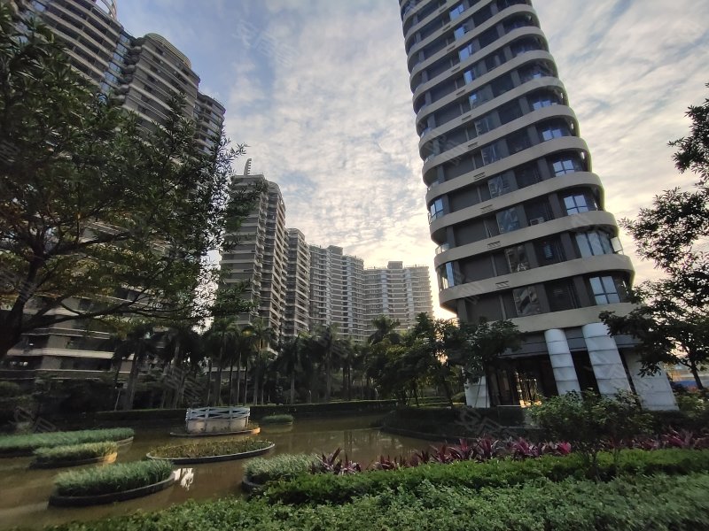 朗信国际,番禺大道北1686号-广州朗信国际二手房,租房,房价-广州安居