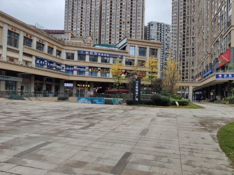 合能锦城,锦江大道889号-成都合能锦城二手房,租房,房价-成都安居客