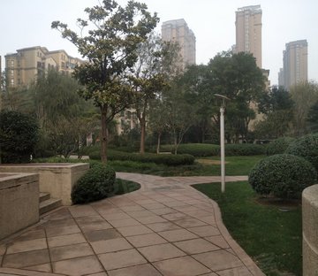 普罗旺世二期罗曼维森