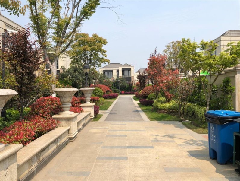 中信森林湖(别墅),唯澄路,近星湖街-苏州中信森林湖(别墅)二手房,租房