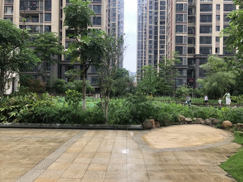 紫金莲园,五星路1号-龙岩紫金莲园二手房,租房,房价-龙岩安居客