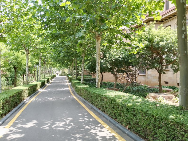 金屋秦皇半岛(九区别墅)