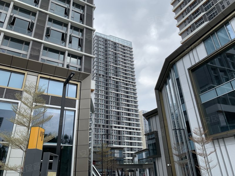 亚运城天峯,乐羊羊路55号-广州亚运城天峯二手房,租房,房价-广州安居