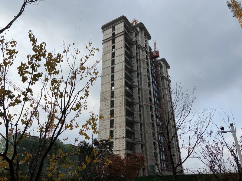 鑫都紫宸府,凤岐路,近跃大道-济南鑫都紫宸府二手房,租房,房价-济南