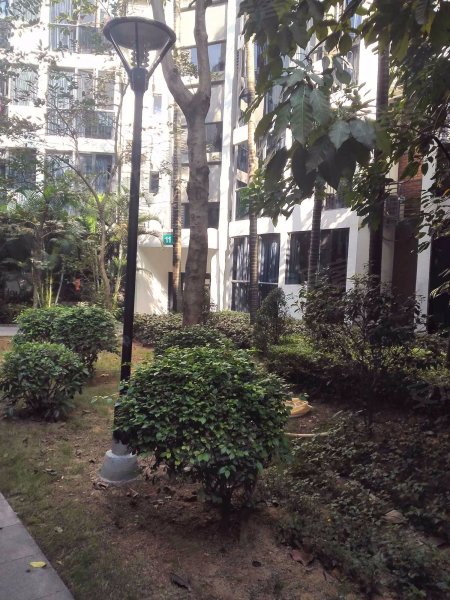 槟榔园,工业九路28号-湛江槟榔园二手房,租房,房价-湛江安居客