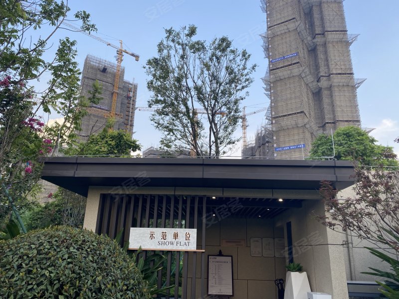 大华紫悦府,禺山西路335号-阳泉大华紫悦府二手房,租房,房价-阳泉安居