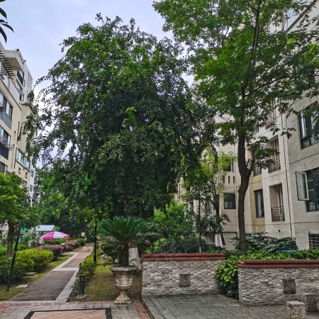 万科四季花城西半岛