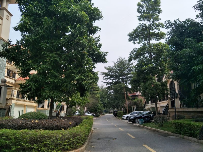 梦之岛花园(别墅),青环路86号-南宁梦之岛花园(别墅)二手房,租房,房价