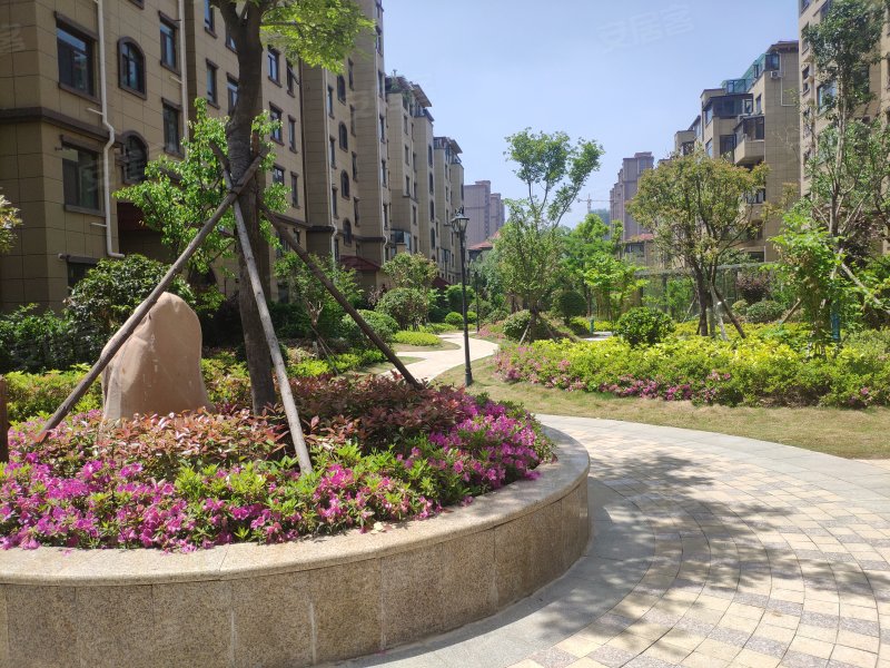 中坚一品,西昌北路,近枣曹路-枣庄中坚一品二手房,租房,房价-枣庄安居
