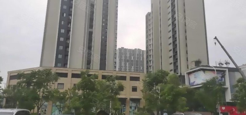 东后老街202弄小区 