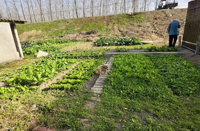 新河街二组2室2厅110㎡15万二手房图片