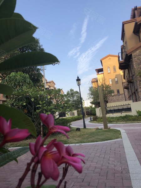 禹洲卢卡小镇,洪前北里17-154号-厦门禹洲卢卡小镇二手房,租房,房价