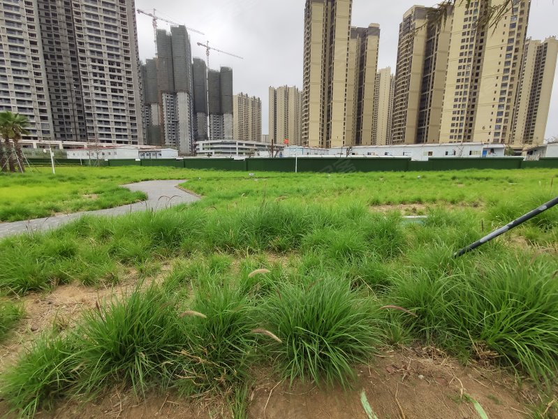 保利宸悦花园,东堤南路7号-湛江保利宸悦花园二手房,租房,房价-湛江