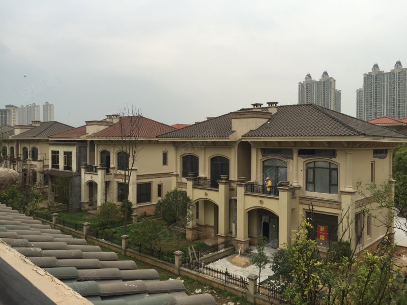 恒大绿洲(别墅)