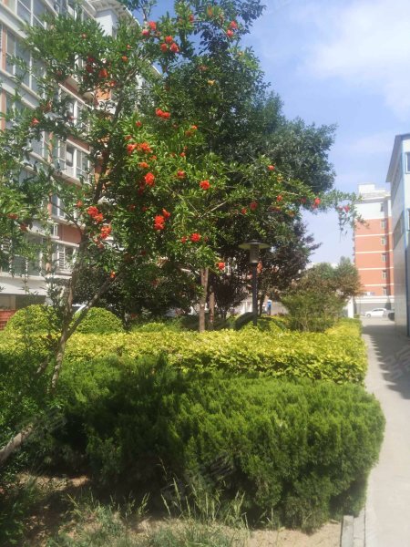 丽景名郡,京衡南大街-衡水丽景名郡二手房,租房,房价-衡水安居客