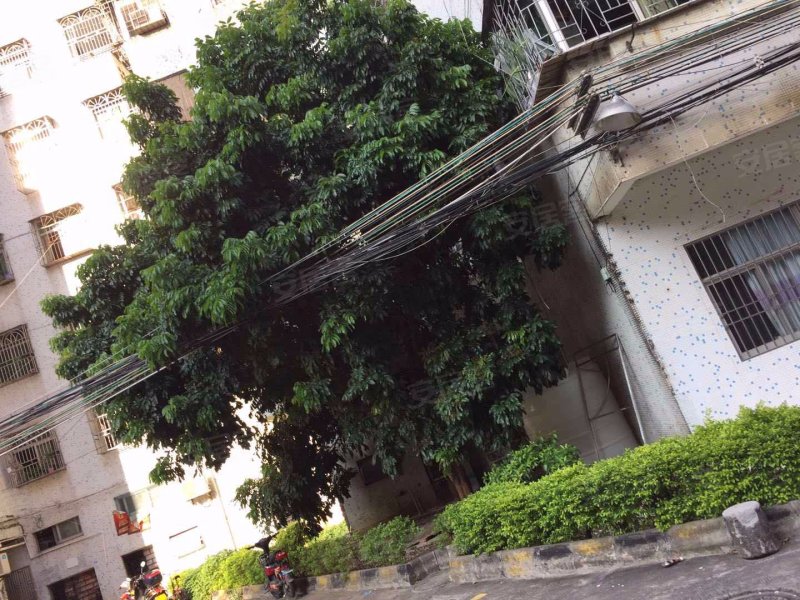 金辉花园,上湖西街1号-秦皇岛金辉花园二手房,租房,房价-秦皇岛安居客