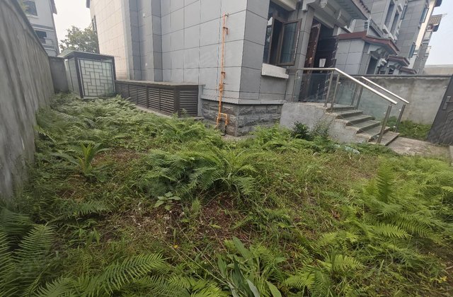 阳光1519云梦州5室2厅650㎡448万二手房图片