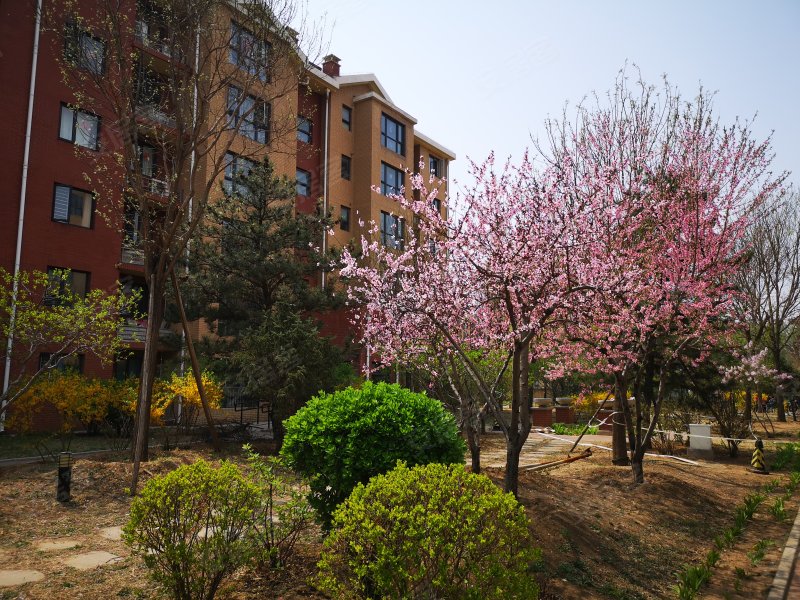 珠光逸景(一号院),太柏西路1号-北京珠光逸景(一号院)二手房,租房