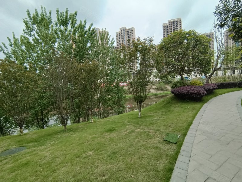 信智城(高坪),物流大道