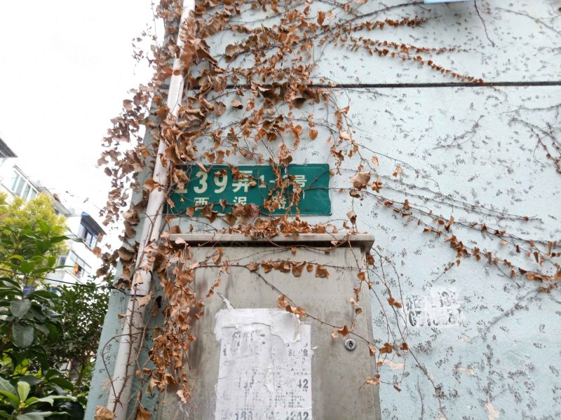 西泥路139弄小区 