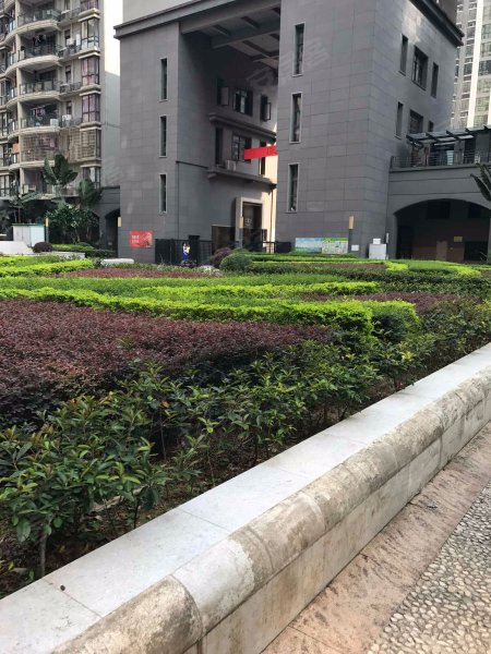 丽园君悦(一期),南昌中路31号-漳州丽园君悦(一期)二手房,租房,房价