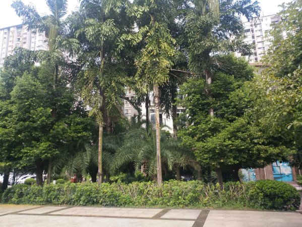 璧山首付14万,天然氧吧绿城上岛,可改正四房,送超大阳台