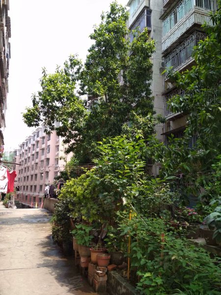 银湖花园,西洪路101号-福州银湖花园二手房,租房,房价-福州安居客