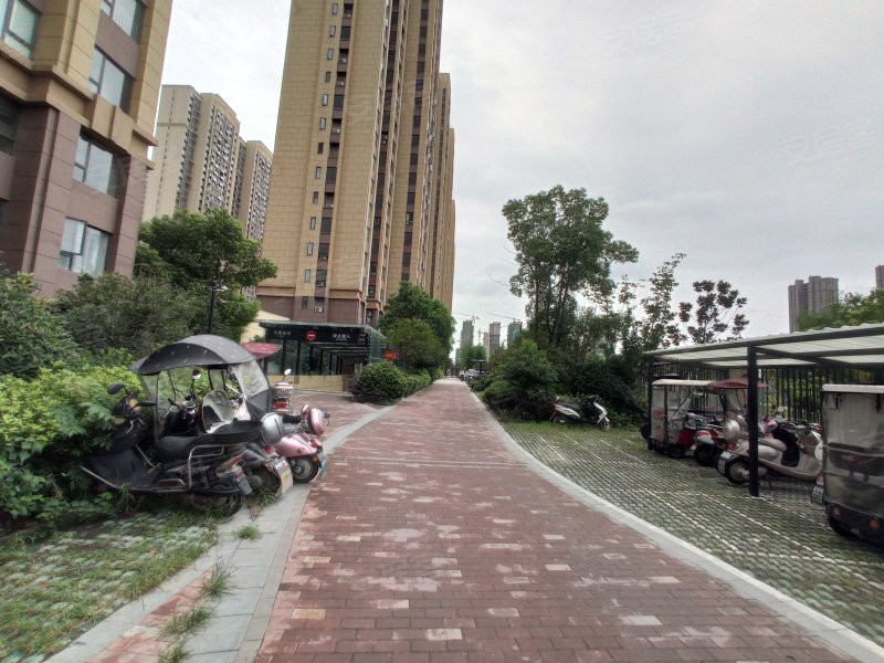 宝龙城市广场(三期),林颍路-阜阳宝龙城市广场(三期)二手房,租房,房价