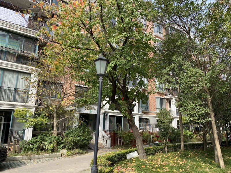 绿地春申花园,莲花南路988弄-上海绿地春申花园二手房,租房,房价-上海