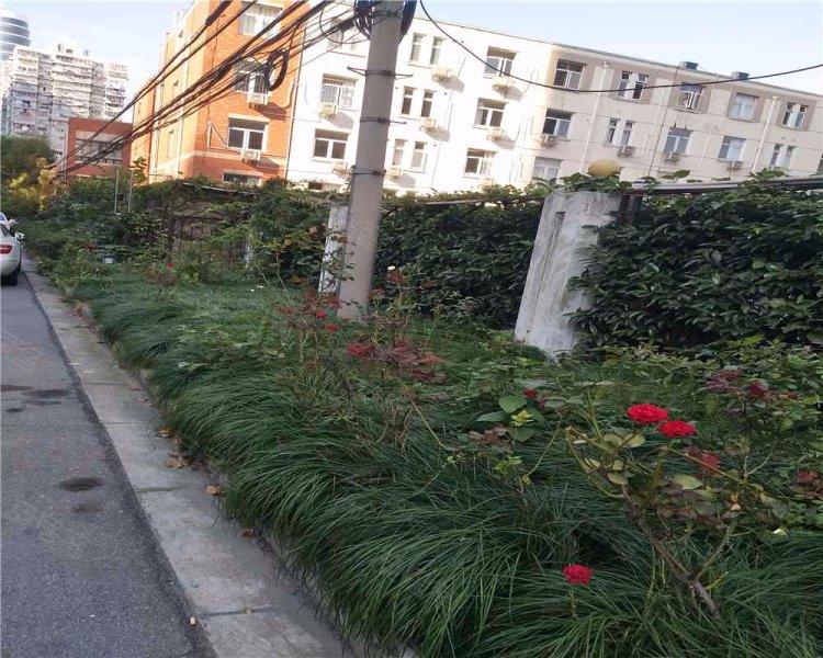 滨江兰庭,浦城路786弄-上海滨江兰庭二手房,租房,房价-上海安居客