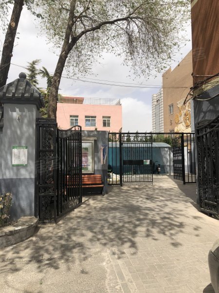 枣林前街81号院