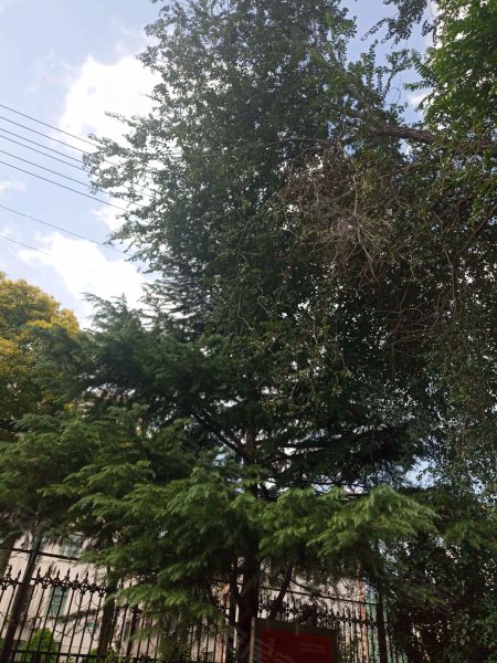 汇众公寓(浦东) 