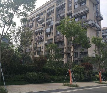 龙湖狮山原著