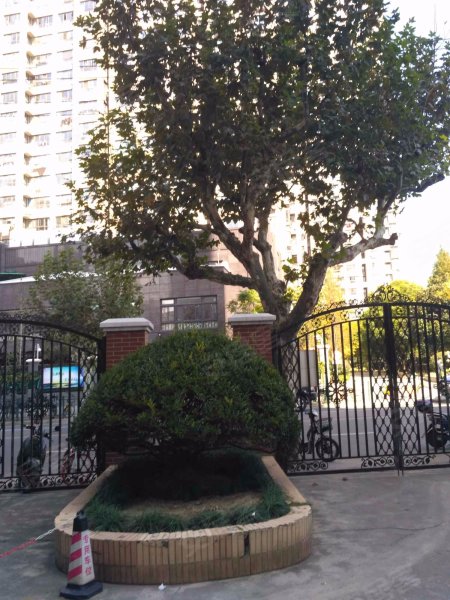 新地大厦,国货路8号