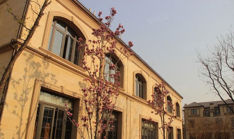 大者(别墅),太平河北路-石家庄大者(别墅)二手房,租房,房价-石家庄