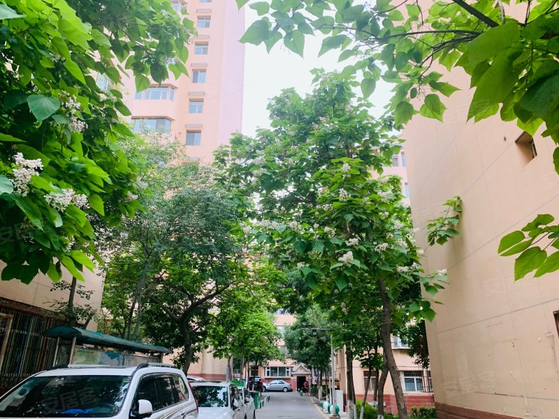 日月星光花园月光小区,青年路356号-乌鲁木齐日月星光花园月光小区