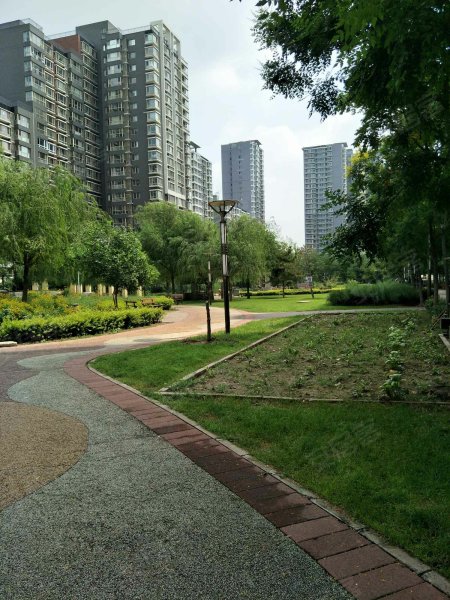 远洋山水(南区)