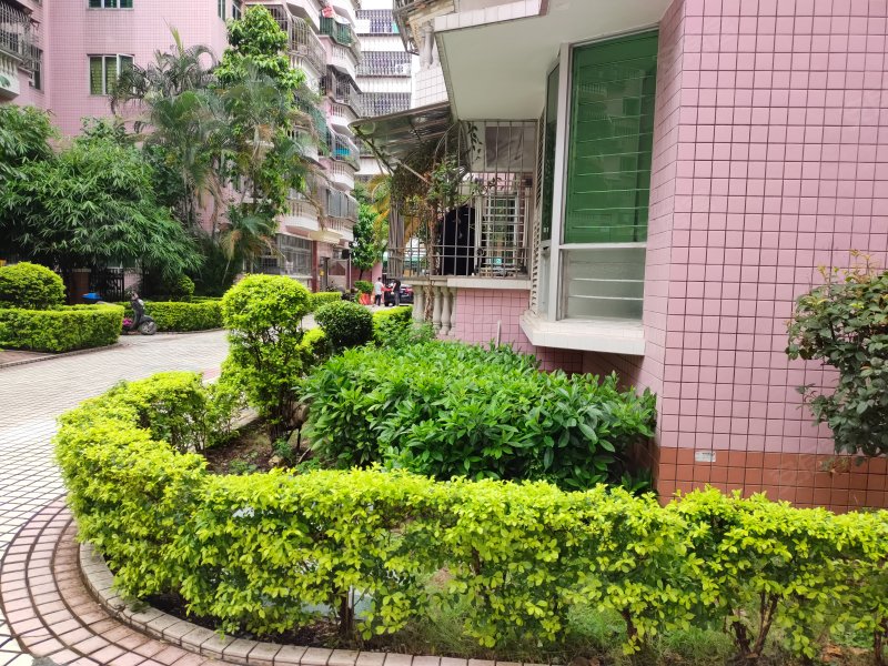 金美花园,新美路4号-汕头金美花园二手房,租房,房价-汕头安居客