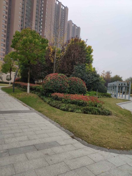 万科橙郡,平山路-徐州万科橙郡二手房,租房,房价-徐州安居客